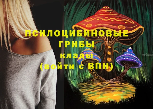 стаф Абинск