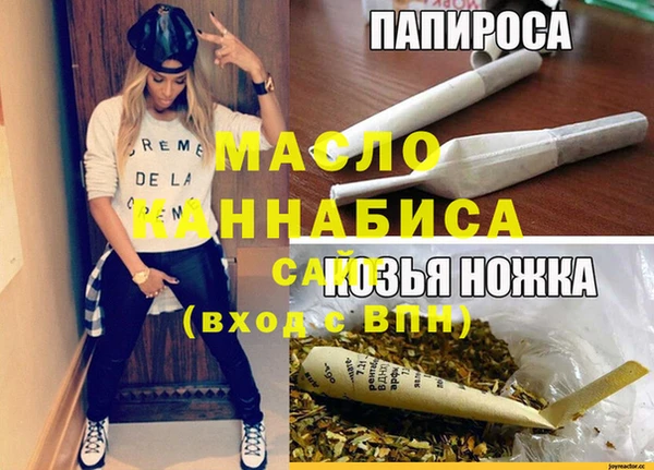 индика Снежинск