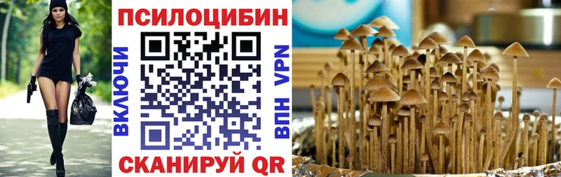 Псилоцибиновые грибы прущие грибы  Ивантеевка 