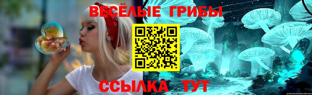 где продают наркотики  Галлюциногенные грибы прущие грибы  Вход с VPN  Ивантеевка  Псилоцибиновые грибы прущие грибы 